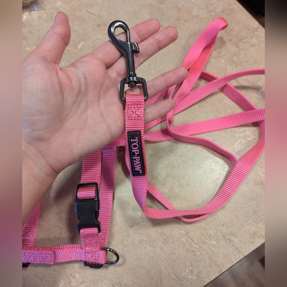 Dogs lot Harness, Leash, Toys... - Picture 13 of 15